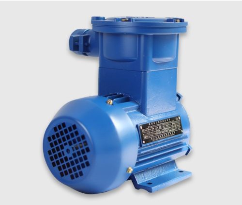 JINXIANLONG | YBX3-63M2-4, YBX3 Series Flameproof Three-Phase Explosion-Proof Motor