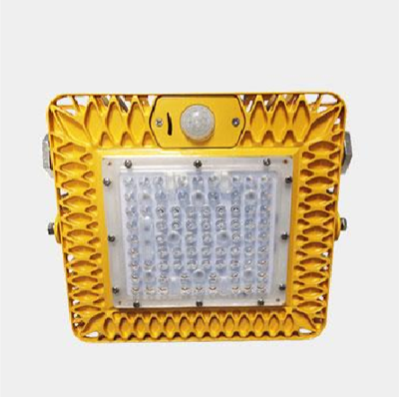 Purple Lighting | GB8055 36W LED Explosion-Proof Floodlight