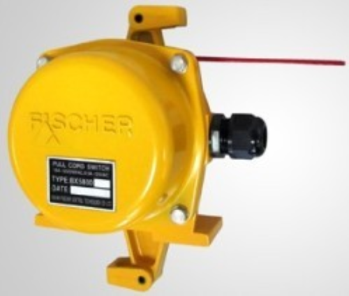 Phisher | Two-Way Pull Cord Switch