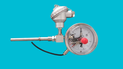 temperature-gauge-with-duplex-rtd-pt100