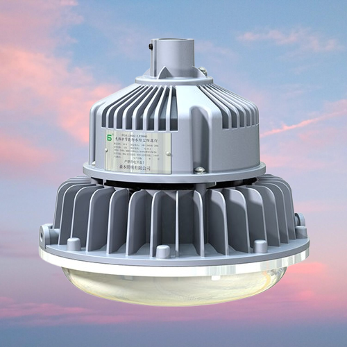 Senben | FGA6306-LED20 Weatherproof LED Light