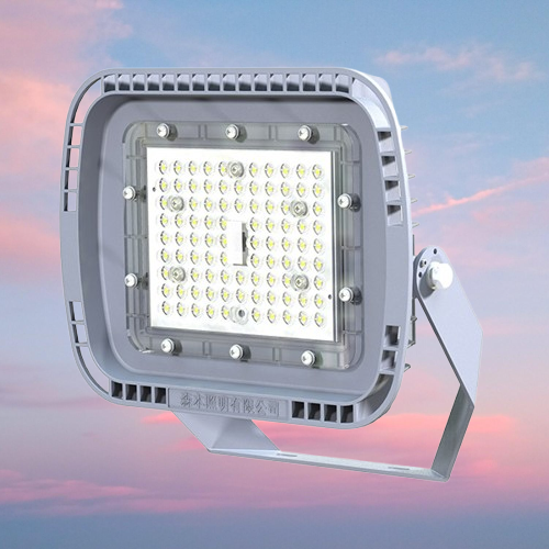 Senben | FGA6346-LED50 Weatherproof LED Floodlight