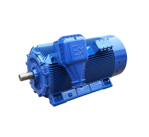 Shuanglong | YB2-80-2-2, YB2 Series Explosion-Proof High Voltage Motors