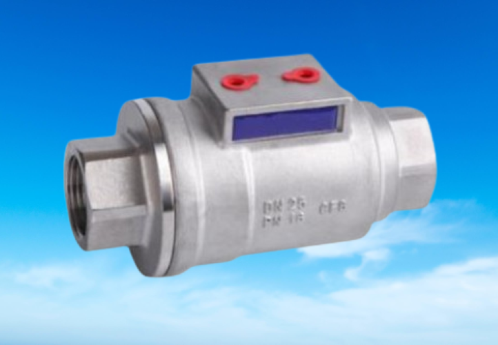 HD CNHD | LJQ-S32 DN32 PN10 Inlet Valve - Gambar 2