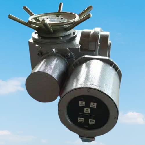 YEPEF | F-Dzw45+Wk2 Electric Actuator