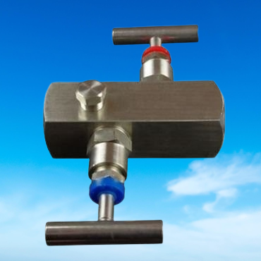 CHi-LOK | Female Thread 2 Way Manifold Valve